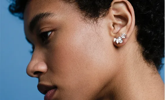 The Wake of Minerva 1