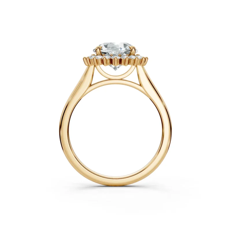 2 Halo Fashion Bridge Curved Standard Profile Solitaire Standard round engagement ring 1