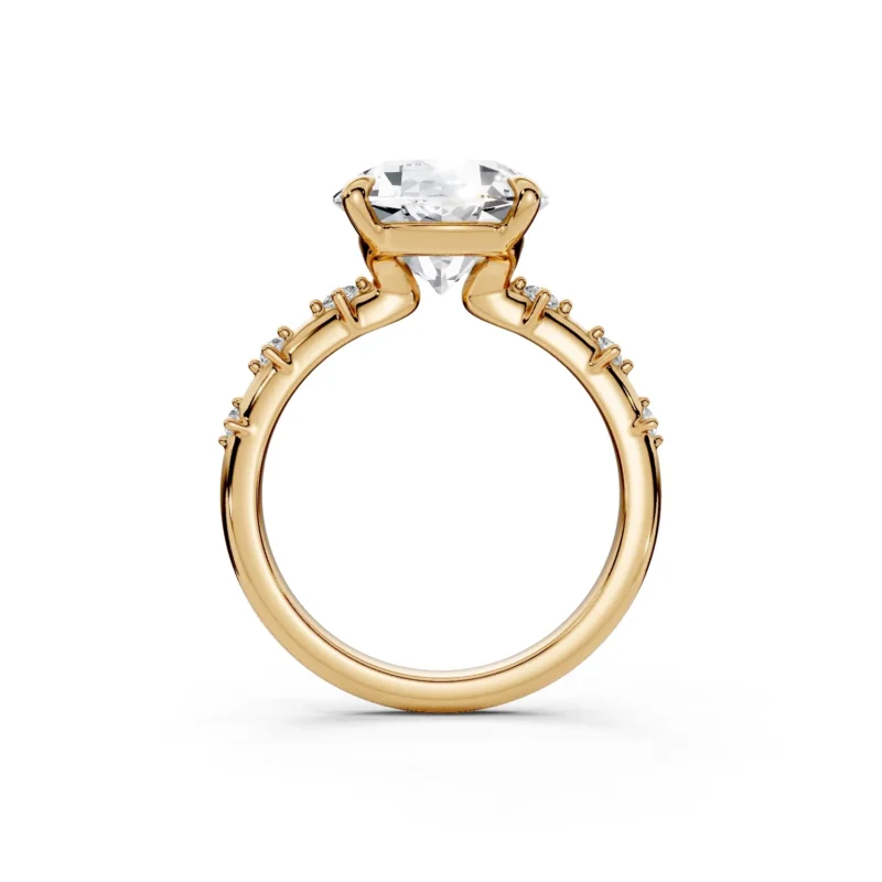 2 Solitary Fashion Four Prong Light Pass Standard Profile Pinpoint Pave 12 coverage round engagement ring